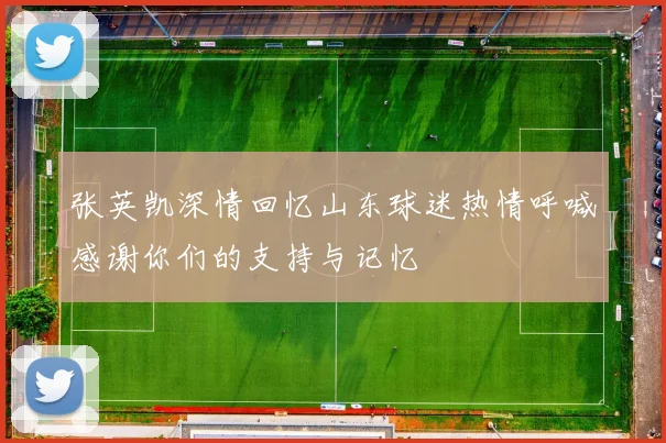 张英凯深情回忆山东球迷热情呼喊感谢你们的支持与记忆