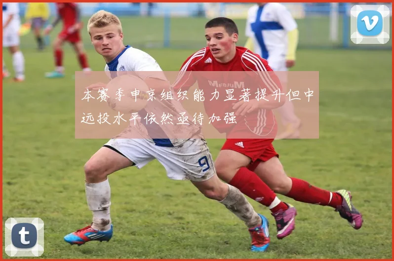 本赛季申京组织能力显著提升但中远投水平依然亟待加强